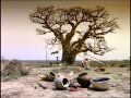 Shaking The Tree (original)