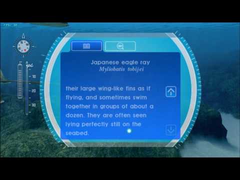 wii endless ocean iso