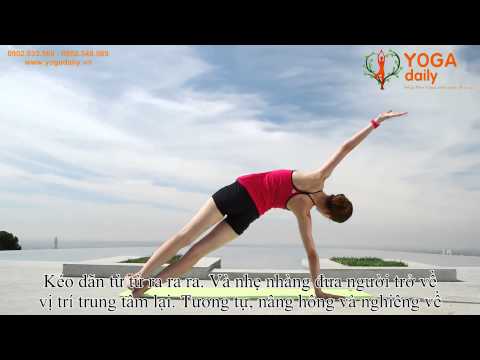 Bài Tập Yoga cơ bản cho người mới bắt đầu
