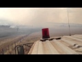 VIDEOS: Incendios forestales siguen afectando Australia