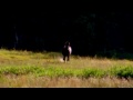 Online Movie The Wild Stallion (2009) Free Stream Movie