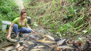 Fishing Techniques - Catching Fish With Pump, Harvesting Fish In The Lake | Nana Fishing