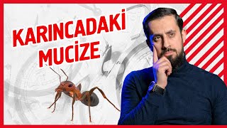 Karıncalardaki Bu Özelliği Duyunca Şok Olacaksınız! | Mehmet Yıldız