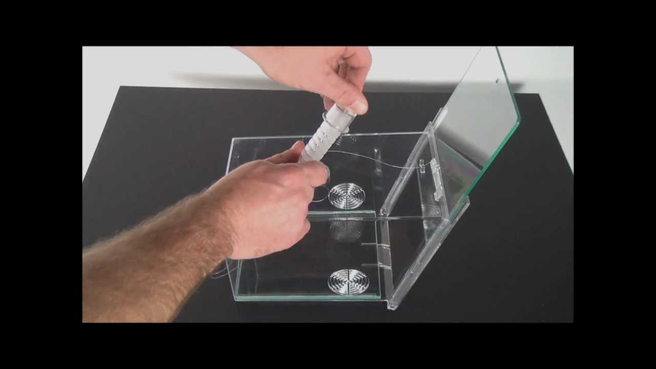 How To Make A Trap In Your Room With String How To Make A Trap In Your Room With String