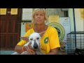 Das Dog & Cat Rescue Center Samui WDR Bericht
