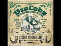 Eliot Lipp - Beamrider (Samples Remix)