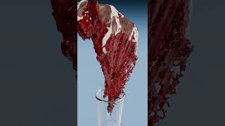 Human Blood Vs Mosquito Blood