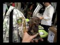 High Times 1st Annual LA Medical Cannabis Cup