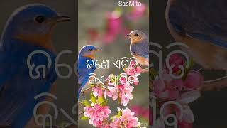 Odia Shayari Love Odia