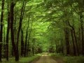 Relax music, Nature, Instrumental Melody