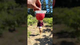 Apple Picking With My Bbs