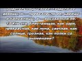 Тихое время с Живой Жизнью: Песни Песней 6:2–12 (28112017)