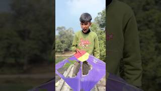 Aarya Ki Patang