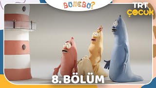 TRT ÇOCUK / BU NE BU / 8.BÖLÜM