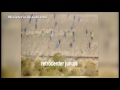 Un video muestra ataque de mineros a policas