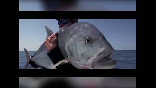 Australian Online Fishing & Tackle Store - Big Brand Quality - Warehouse Prices