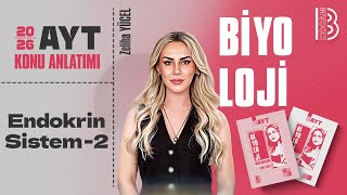 5 Ayt Biyoloji - Endokrin Sistem 2 - Zeliha Yücel - 2026