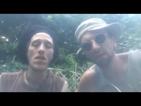 ONE ROOT plays Chronixx skankin sweet unplugged