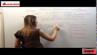 Program Geliştirme Ders 16 Kpss 2015