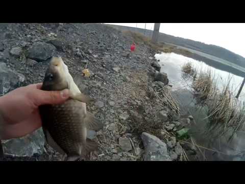 видео летняя рыбалка на чулыме видео летняя рыбалка на чулыме