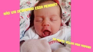 Amamentar É Chato Pra Caramba Stella Coelho