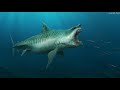 Megalodon Vs Tylosaurus Vs T Rex Movie