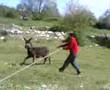 ulyo & eşşek