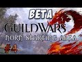 Guild Wars 2 Beta: Norn Part 4 - Personal Story