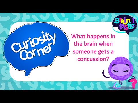 Curiosity Corner