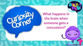 What happens in the brain when someone gets a concussion?