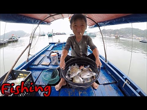 Thả câu bắt cả tổ cá Tráp về bán kiếm tiền triệu - câu cá biển