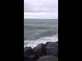 mare