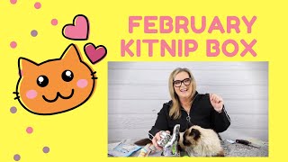 February 2020 Kitnipbox For Your Happy Cat