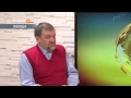 Видео Гарань: Силове протистояння може перерости в терористичне