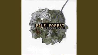 Watch Pale Forest Once Again video