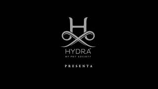 HYDRA Glow Professional curved scissors