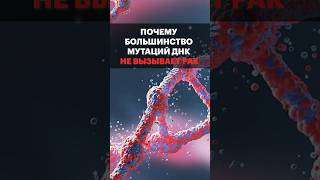 Днк И Рак: Почему Не Все Мутации Опасны