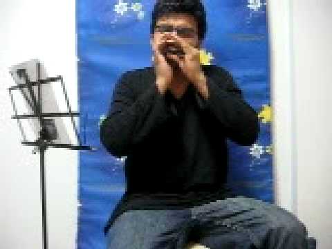 Dhadkan jara ruk gayi hai - Love theme from Prahaar on Harmonica...