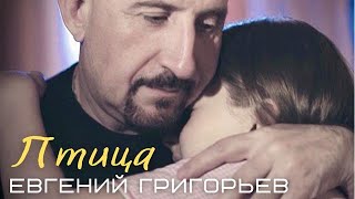 Евгений Григорьев - Жека - Птица(Official  Music Video)