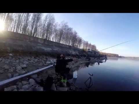 десногорск фидер видео десногорск фидер видео