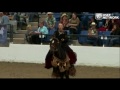 Quick Class - Costume at the 2012 PFHA Grand National Championship Show