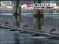 気仙沼で1メートルの津波を観測 宮城でも冠水被害(10/02/28)