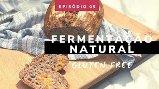 Benefícios da Fermentação Natural