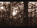 enforet