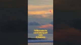 Full Moon Makes Thea World Wilde Big Swif Of Tlucky