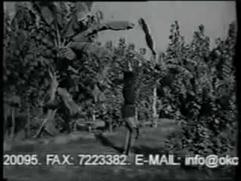 Maahi Ve - Fakir Alamgir