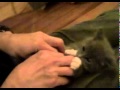 Cat Getting Tickled