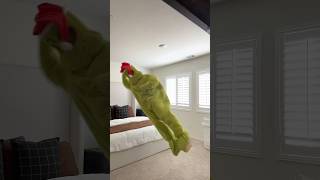 When The Grinch Is Ready To Destroy Christmas