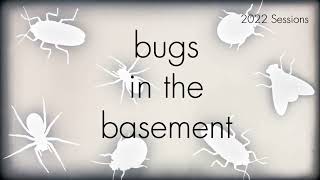 Bugs In The Basement- Dialeurodes Chittendeni aka The Rhododendron Whitefly