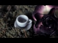 Underland A Film By Sophie Taylor Wood images Underland A Film By Sophie Taylor Wood